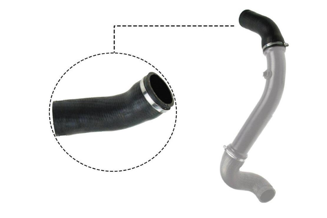 VAICO V302717 Charge Air Hose | ML Performance Car Parts