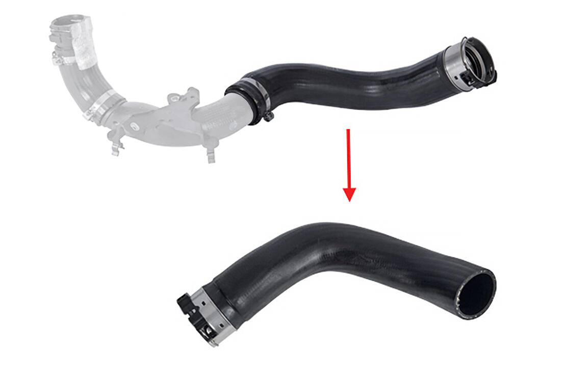 VAICO V461725 Charge Air Hose | ML Performance Car Parts