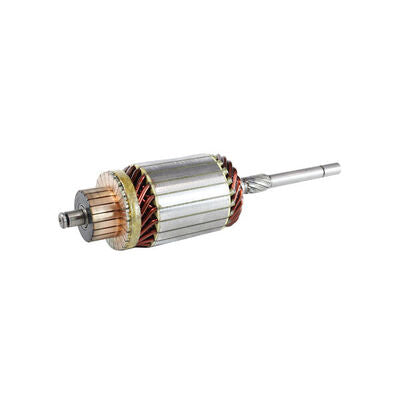 Mahle MSX326 - Armature, starter