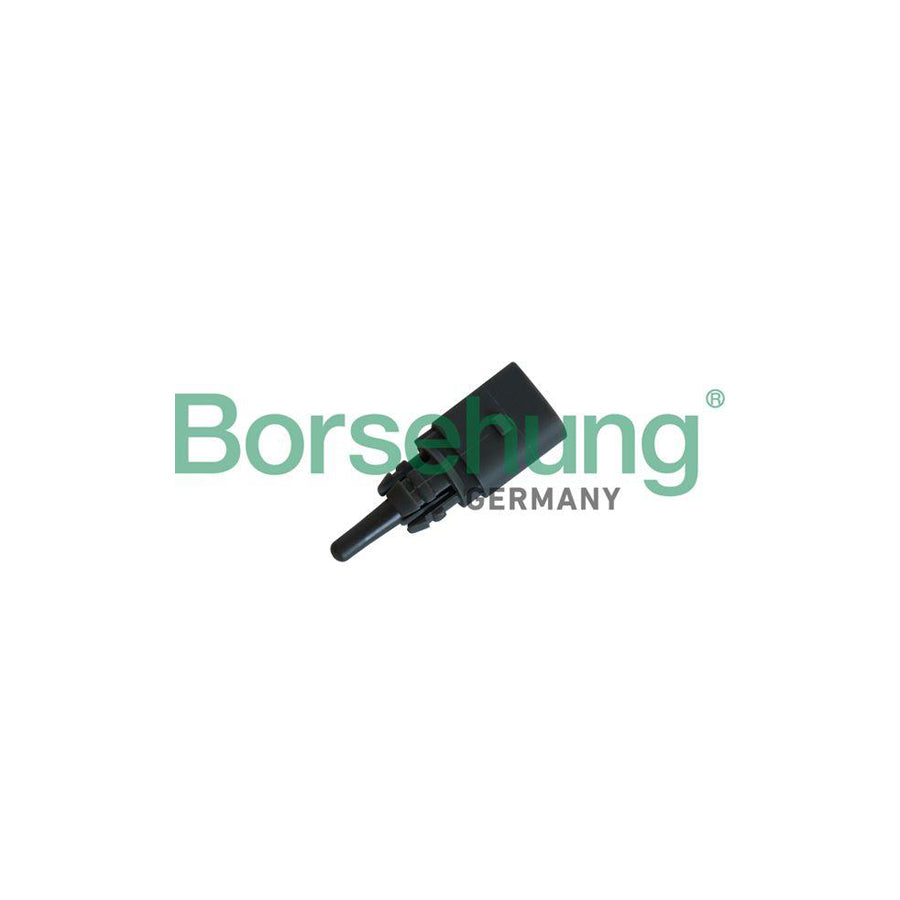Borsehung B11864 Ambient Temperature Sensor