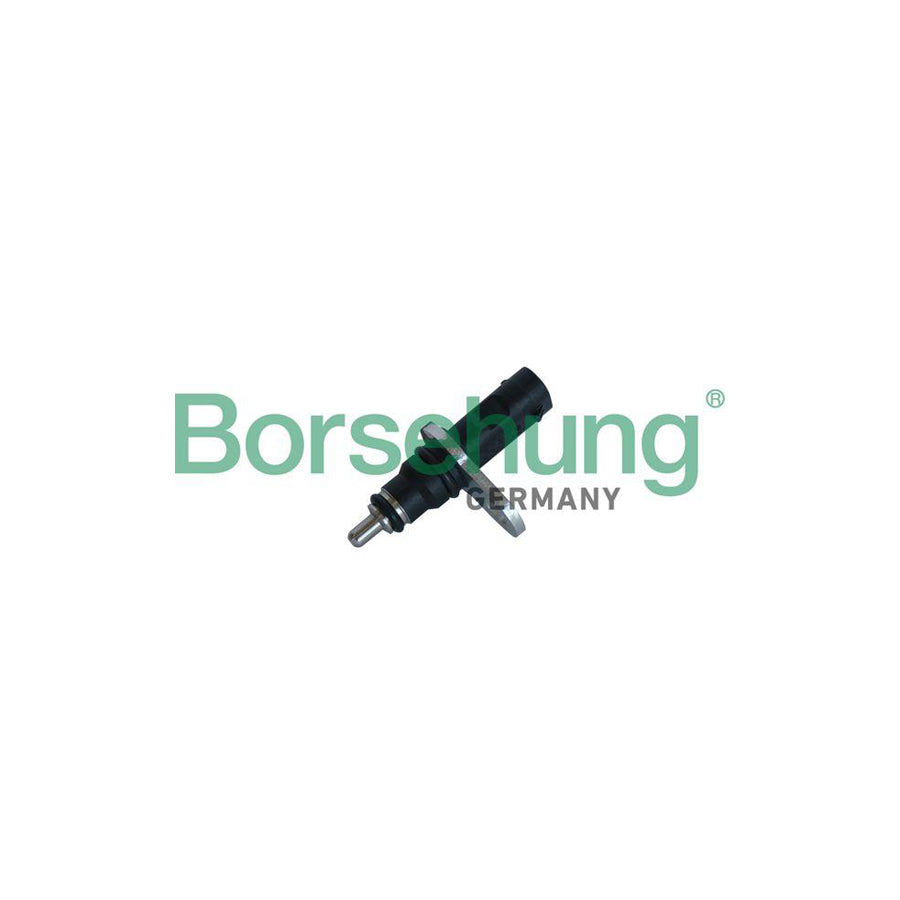 Borsehung B11863 Sensor, Coolant Temperature