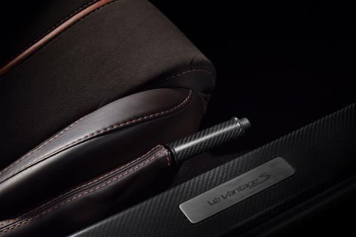 Aston Martin DD33-78-10152 Carbon Fibre Tread Plates - pair | ML Performance EU Car Parts