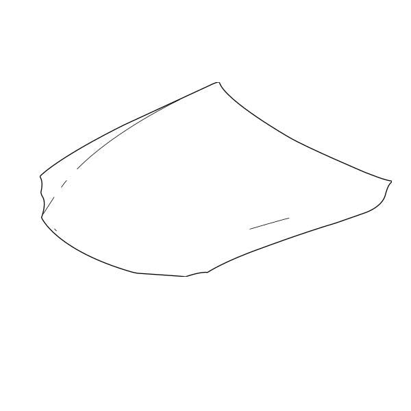 Genuine Lexus 53301-53091 IS Phase 3 Bonnet
