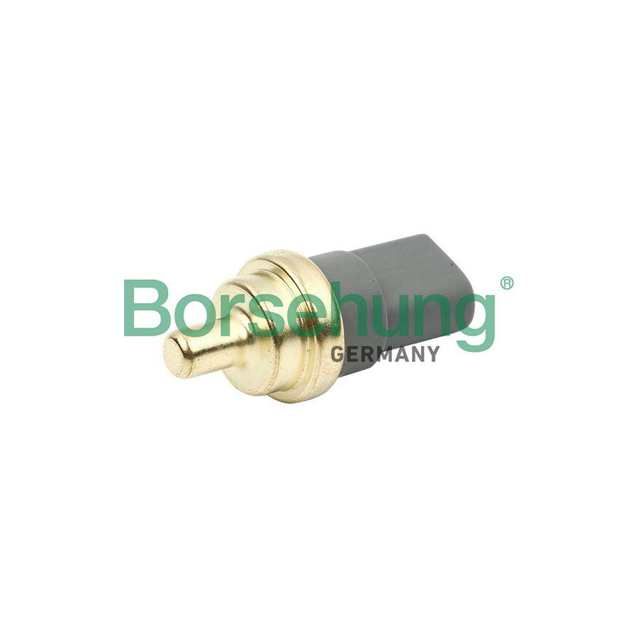 Borsehung B13146 Sensor, Coolant Temperature