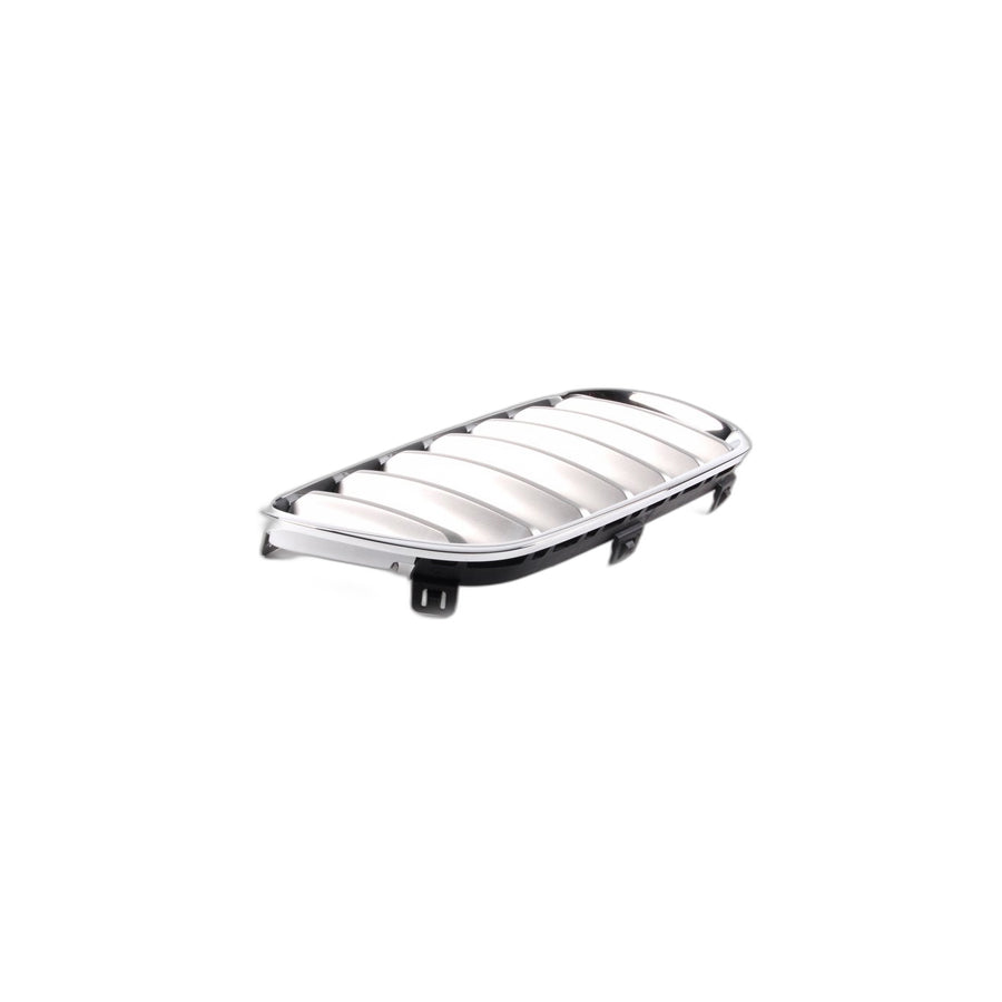 Genuine BMW 51113420090 E83 Grille, Front, Right TITAN (Inc. X3) | ML Performance EU Car Parts