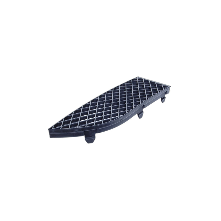 Genuine BMW 51117135564 E65 E67 E66 Grid Lateral Right (Inc. 730Ld, 750Li & 740i) | ML Performance EU Car Parts