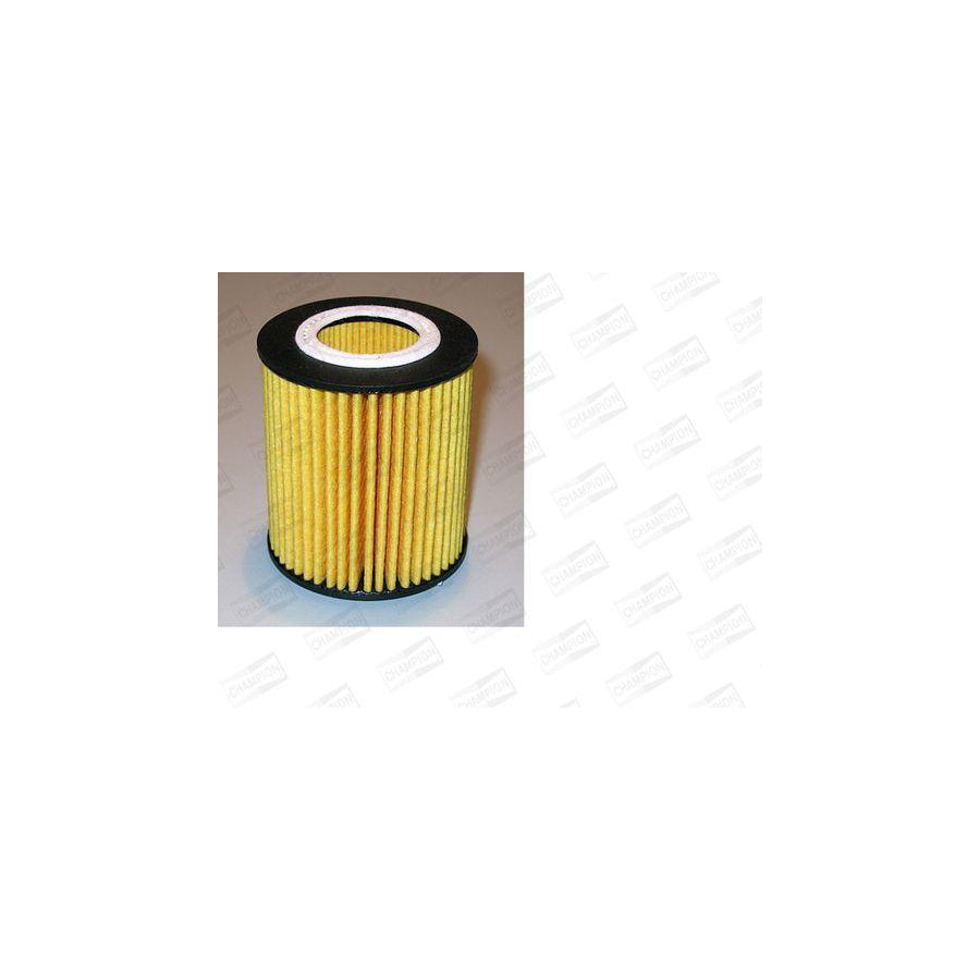 Champion Eon Titan Xe544/606 Oil Filter