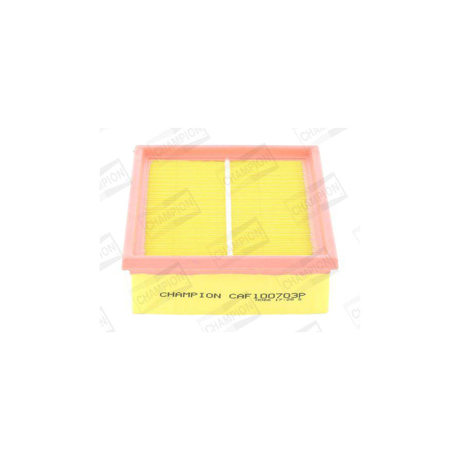 Champion CAF100703P Air Filter