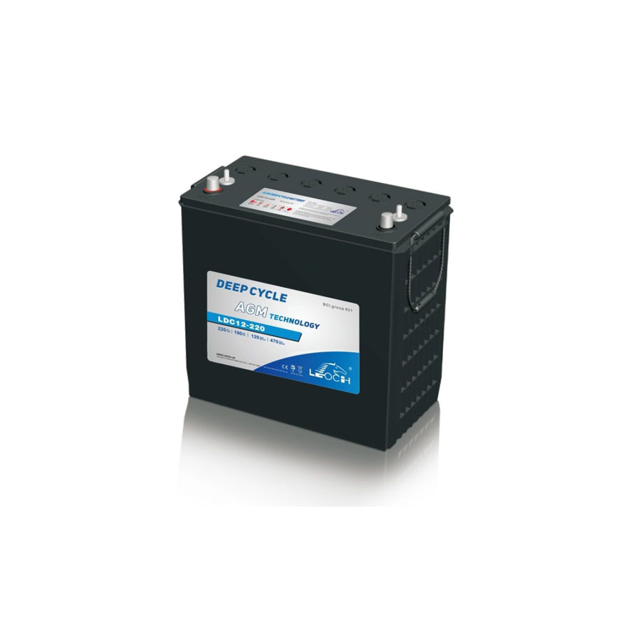 Leoch 12V 220Ah Deep Cycle AGM Battery - LDC12-220 | ML Performance EU Car Parts
