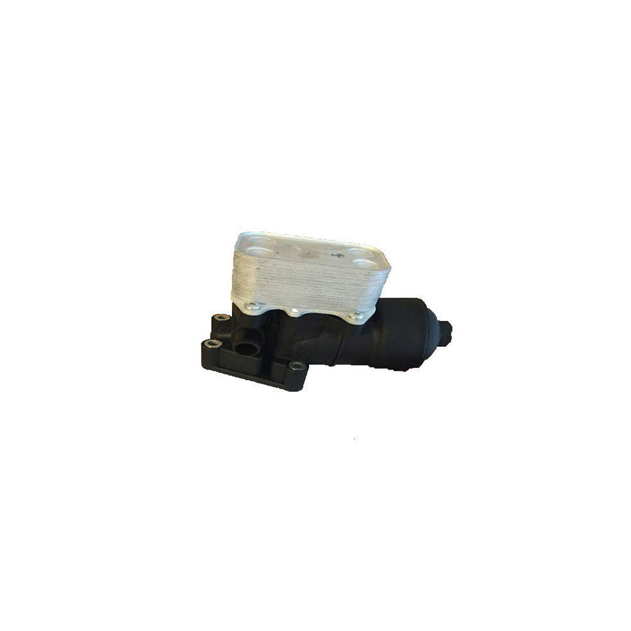 Bugiad BSP24941OE Oil Filter Housing