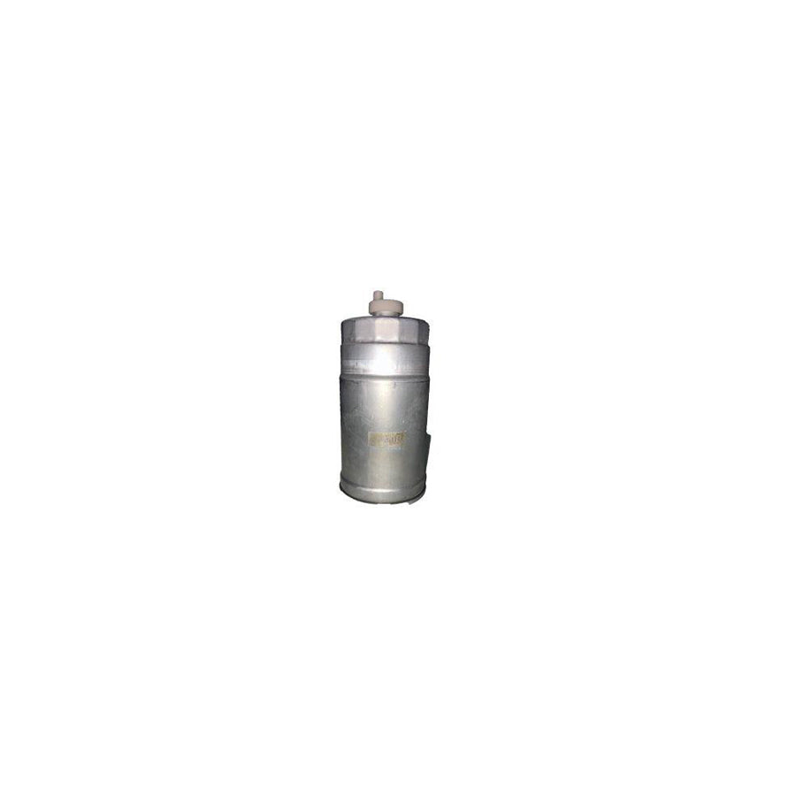 Bugiad BSP25057 Fuel Filter