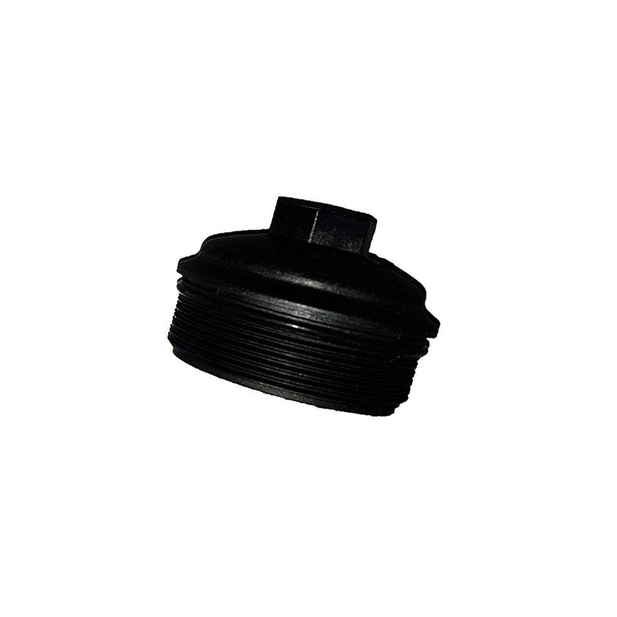 Bugiad BSP25079 Cover, Oil Filter Housing