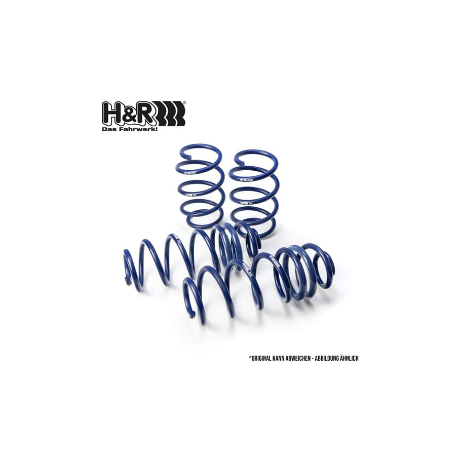 H&R 28631-2 Performance Lowering Springs | ML Performance EU Car Parts