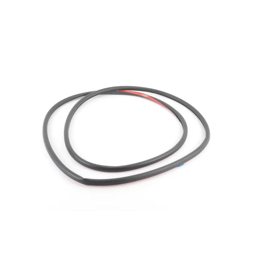 Genuine BMW 51357258330 F30 F80 Door Weatherstrip Rear (Inc. 316d, 335iX & M3)