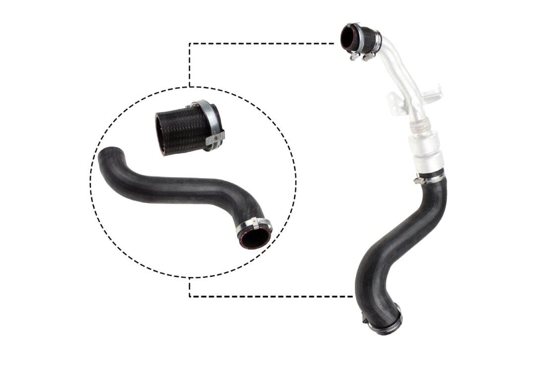 VAICO V480197 Charge Air Hose | ML Performance Car Parts