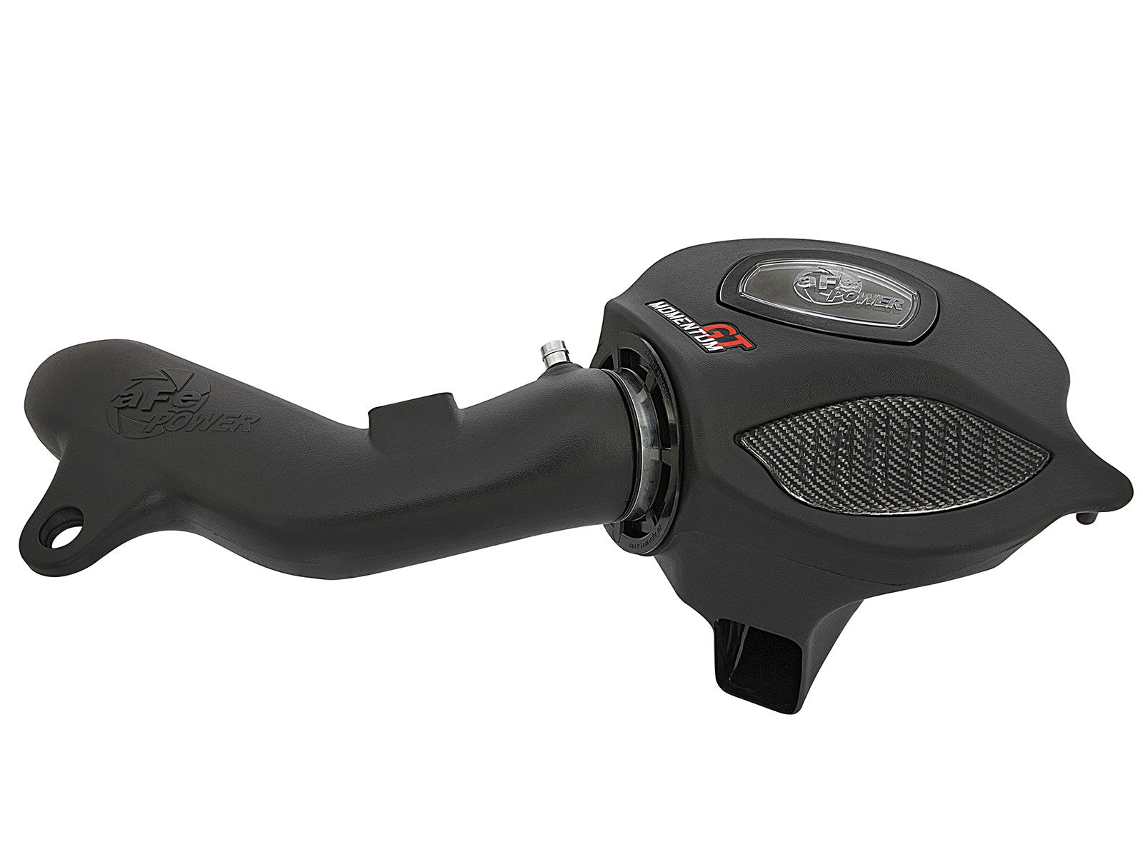aFe BMW N55 Momentum GT Pro DRY S Cold Air Intake System (M135i, M2, M235i & 335i) ML Performance EU