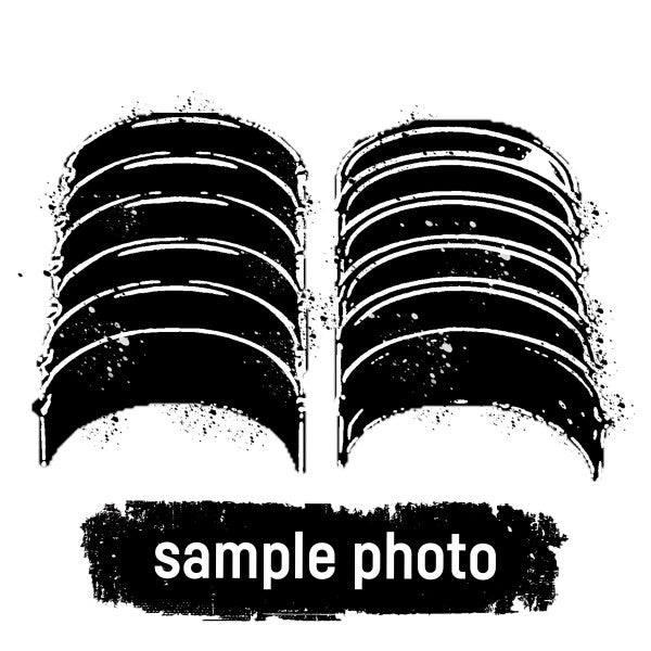 Mahle 029PL21919000 - Connecting rod bearing set