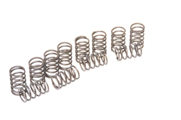 Aston Martin 021-006-0123-PK-W Inner Valve Spring (Pack of 12) | ML Performance EU Car Parts