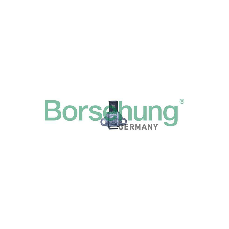 Borsehung B11886 Fuel Pressure Sensor