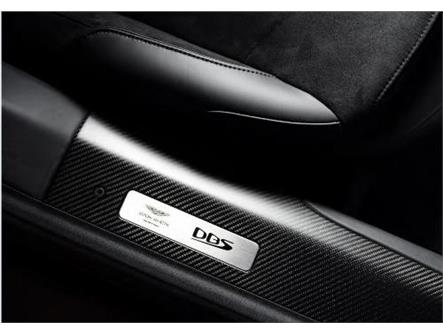 Aston Martin LY73-78-10001 DBS Superleggera Carbon Fibre Tread Plates - Pair | ML Performance EU Car Parts