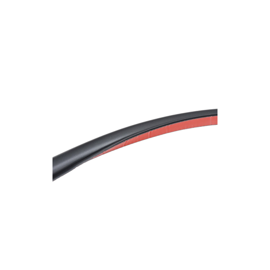 Genuine BMW 51767179104 F02 F04 F03 Door Weatherstrip Rear (Inc. 750LdX, 750LiS & 740LdX) | ML Performance EU Car Parts