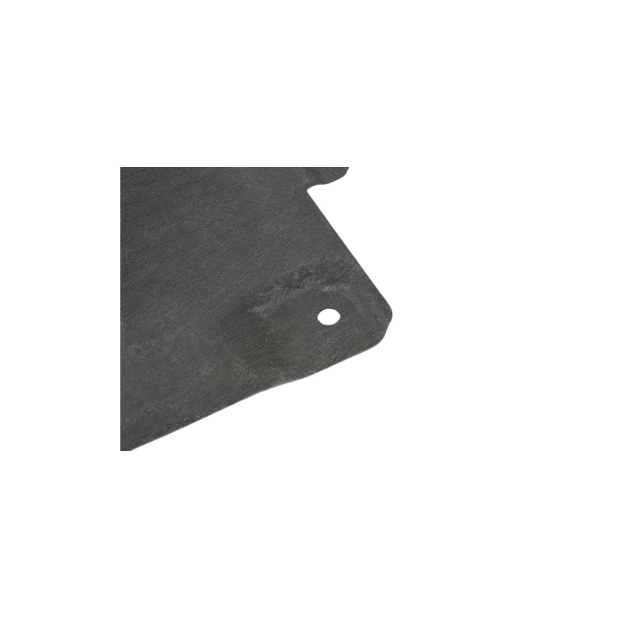 Genuine BMW 51757441886 G29 Underfloor Coating Center (Inc. Z4 30i, Z4 M40i & Z4 20i) | ML Performance EU