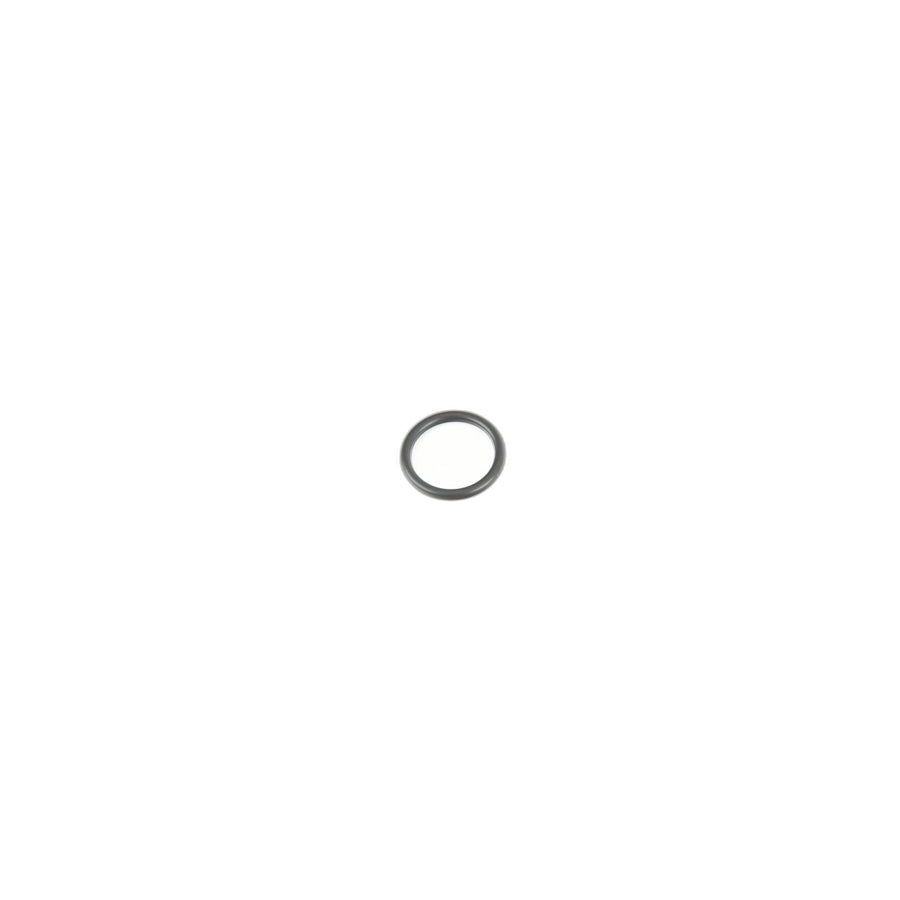 Genuine BMW Mini 13628658854 F15 G32 F33 O-Ring 18,2X2,5 (Inc. X7 50iX) | ML Performance EU Car Parts