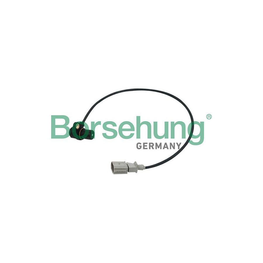 Borsehung B13670 Crankshaft Sensor