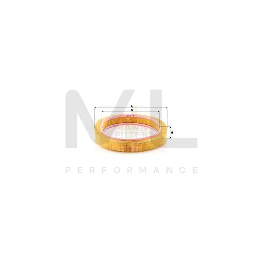 MANN-FILTER C 42 098 Air Filter Filter Insert | ML Performance Car Parts