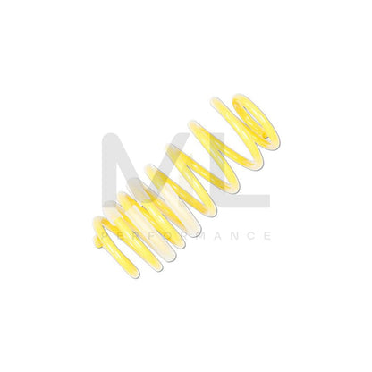 ST Suspensions 28230071 Ford Fiesta Mk7 SPORT SPRINGS 1 | ML Performance EU Car Parts