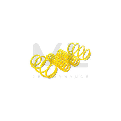 ST Suspensions 28220174 BMW F20 F21 F22 F87 F23 SPORT SPRINGS 4 | ML Performance EU Car Parts