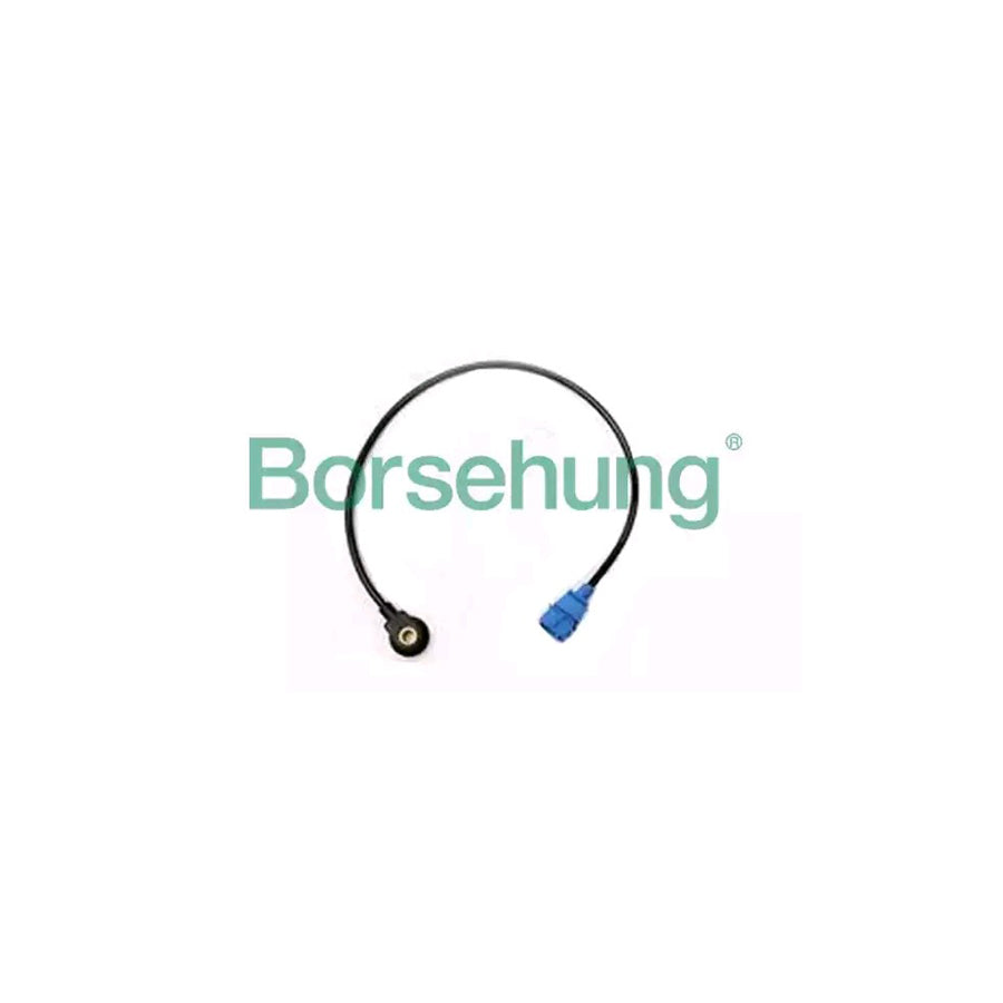 Borsehung B16932 Knock Sensor