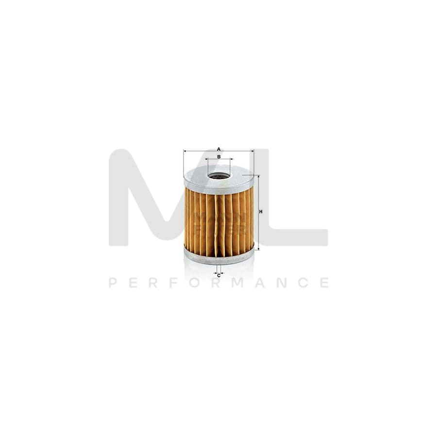 MANN-FILTER C 66 Air Filter Filter Insert | ML Performance Car Parts