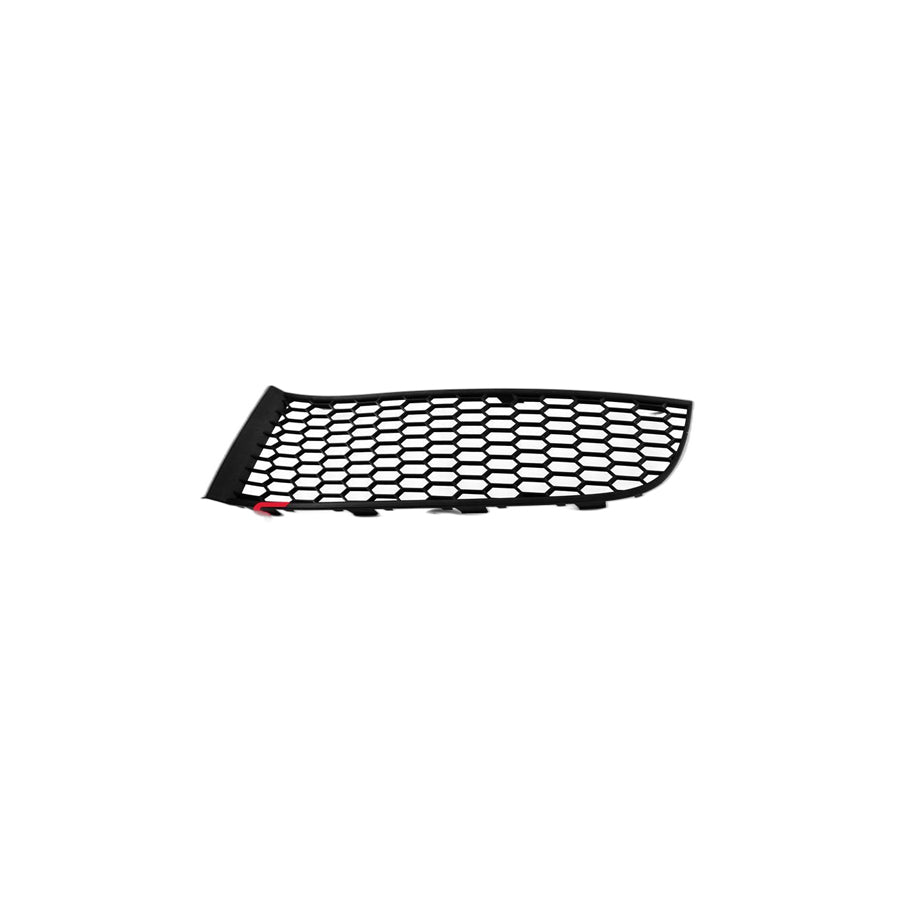 Genuine BMW 51117903673 Grill, Open, Lower Left M (Inc. 740i, 750iX & 750i)
