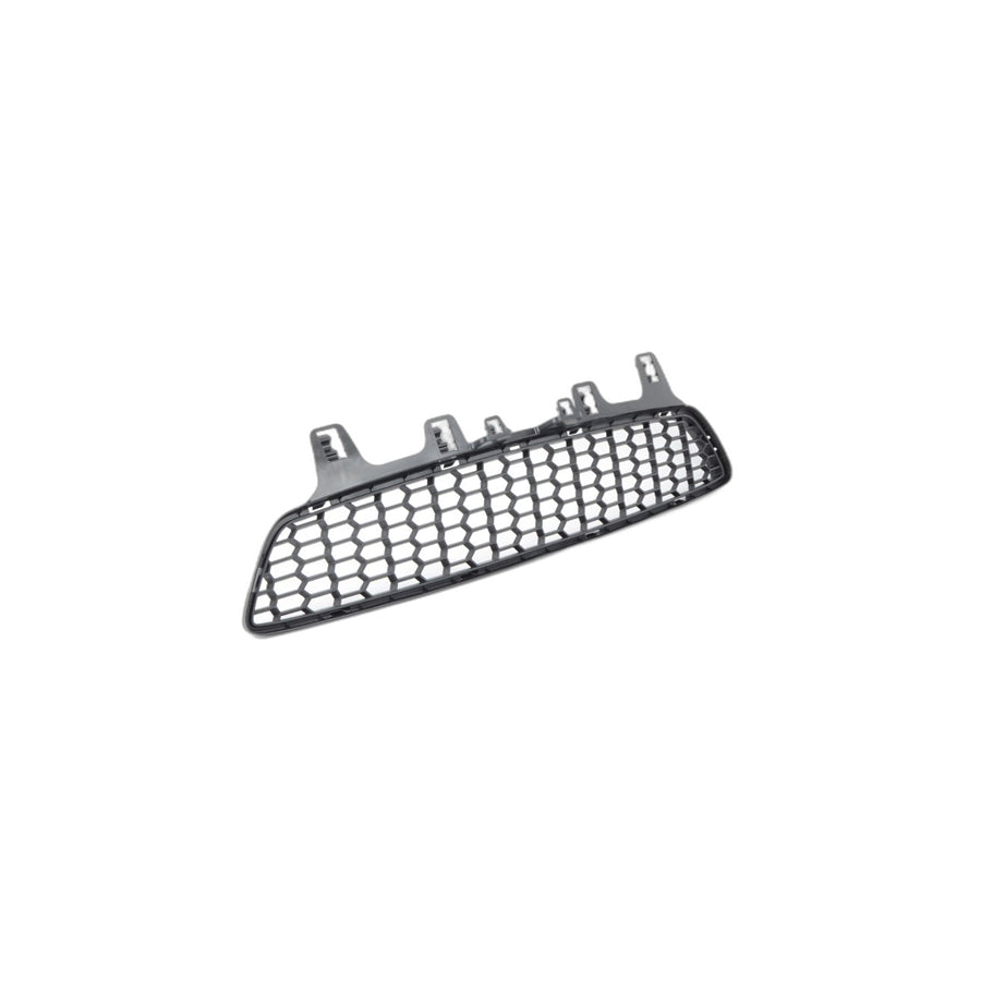 Genuine BMW 51118054294 F83 F80 F82 Insert, Air Intake, Center (Inc. M4, M4 CS & M3)
