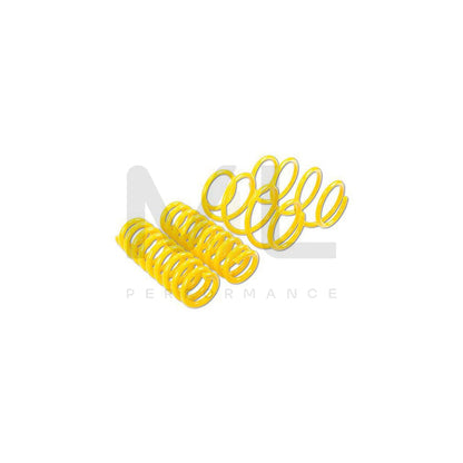 ST Suspensions 28290015 Renault Megane II SPORT SPRINGS 3 | ML Performance EU Car Parts