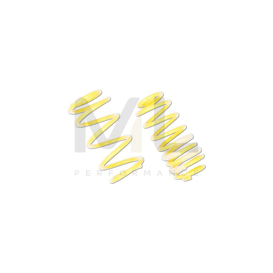 ST Suspensions 28230071 Ford Fiesta Mk7 SPORT SPRINGS 3 | ML Performance EU Car Parts