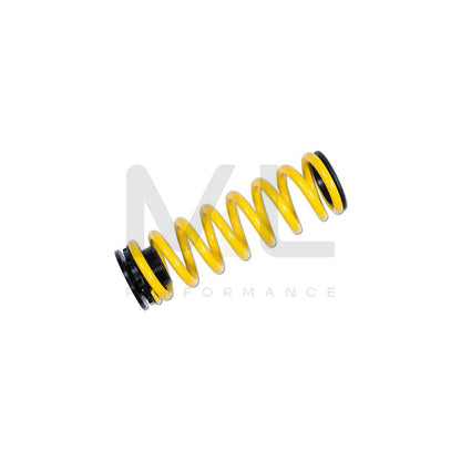 ST Suspensions 273100BU Audi B9 ADJUSTABLE LOWERING SPRINGS (A4 & RS4) 3 | ML Performance UK Car Parts