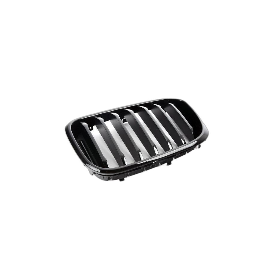 Genuine BMW 51138469959 Grille, Front, Left HGL SW (Inc. X3)