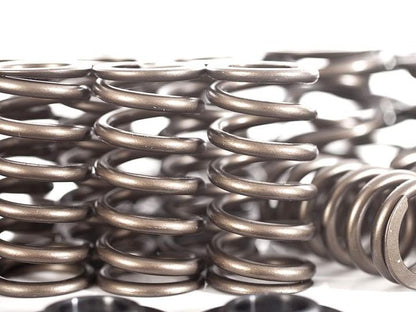 Integrated Engineering Ferrea Audi VW 1.8T Valve Spring/Retainer Kit ML Performance EU