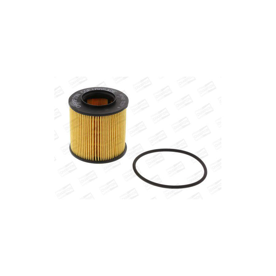 Champion Eon Titan COF100540E Oil Filter