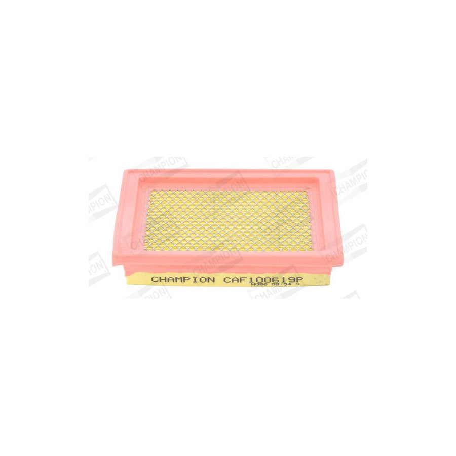 Champion CAF100619P Air Filter