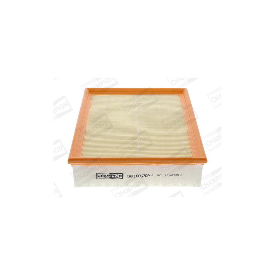 Champion CAF100570P Air Filter