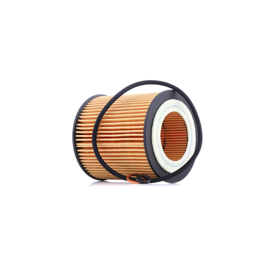 Champion Eon Titan COF100571E Oil Filter