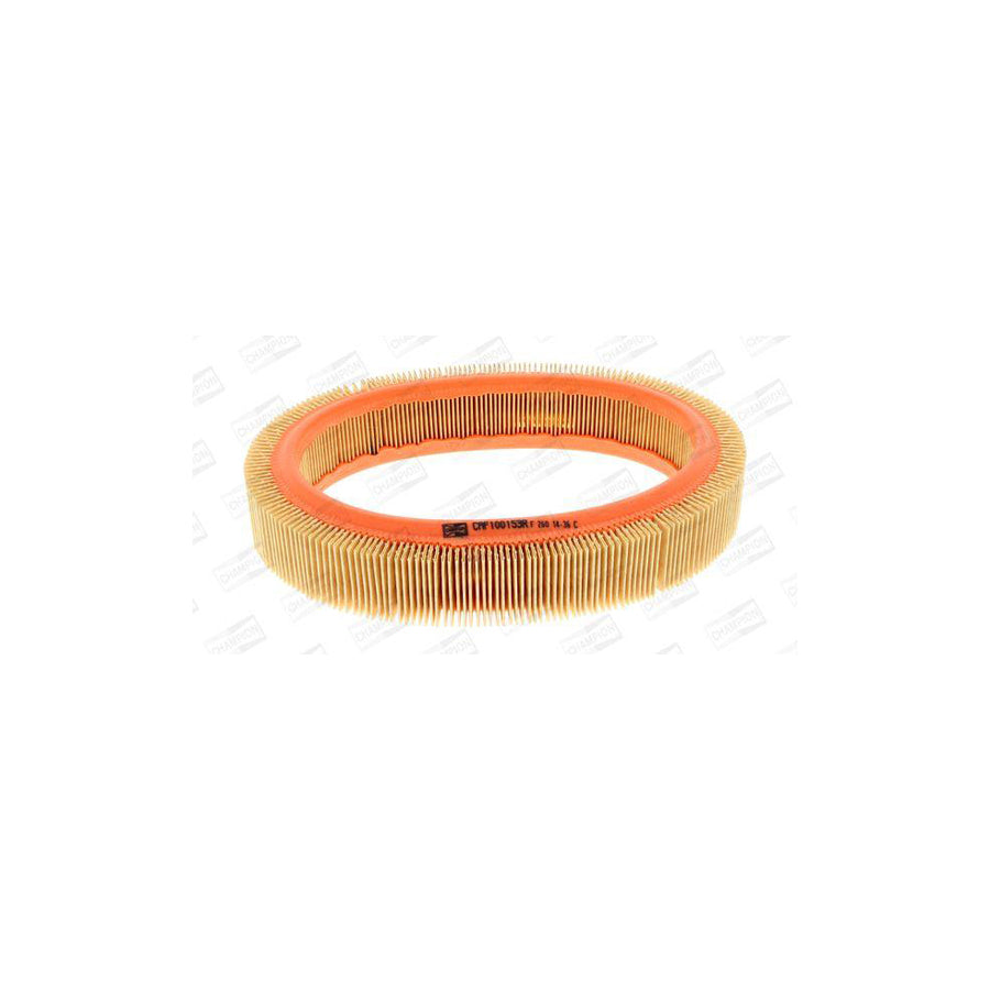 Champion CAF100153R Air Filter