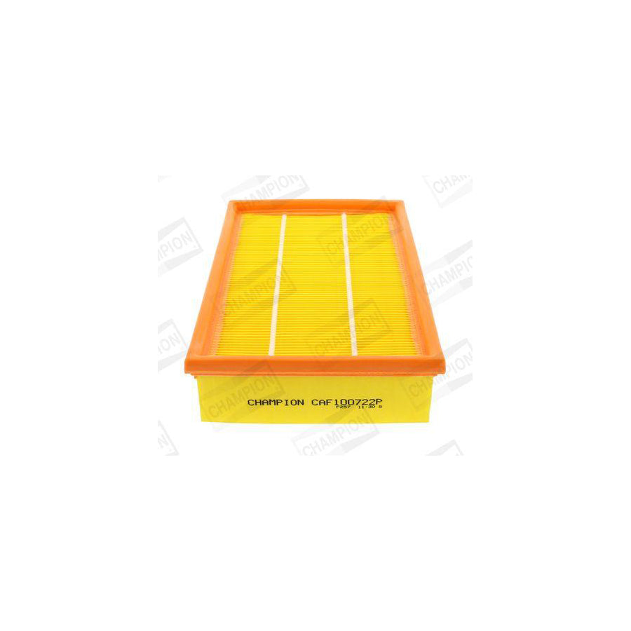 Champion CAF100722P Air Filter
