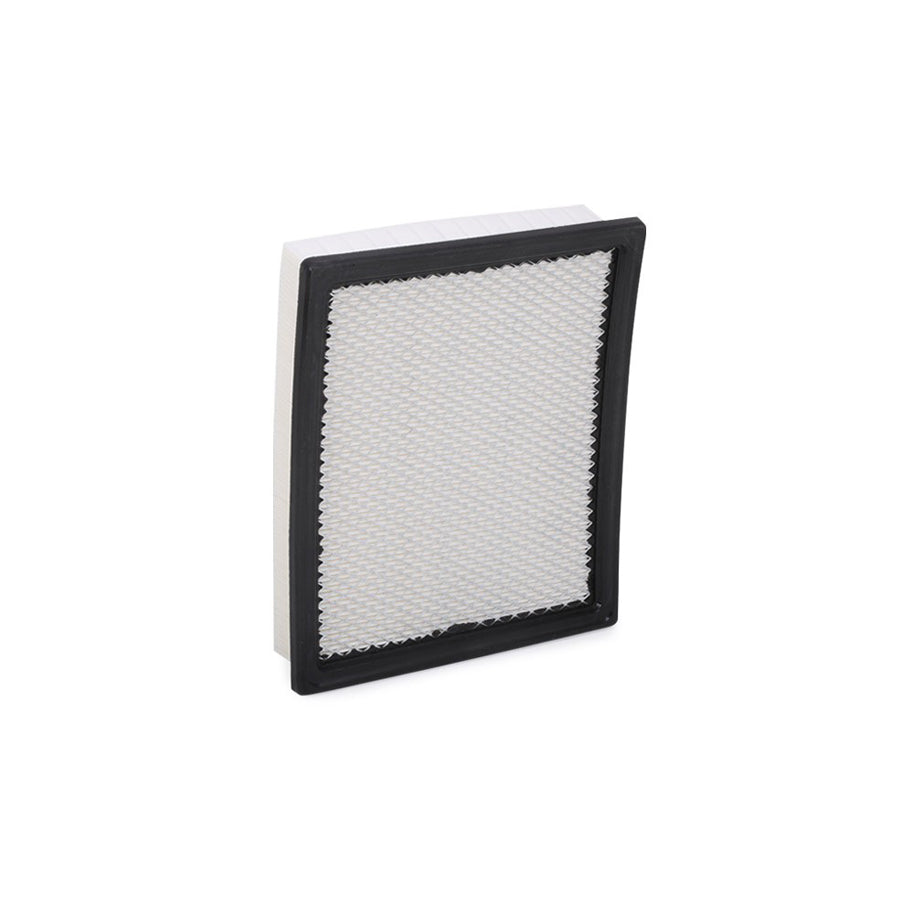 Champion CAF100583P Air Filter